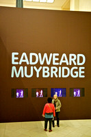 Eadweard Muybridge 006 N238