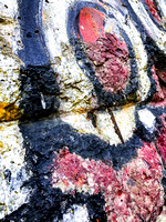 Berlin Wall 006 N653
