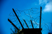 Barbed Wire 01 D13
