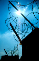 Barbed Wire 02 D13