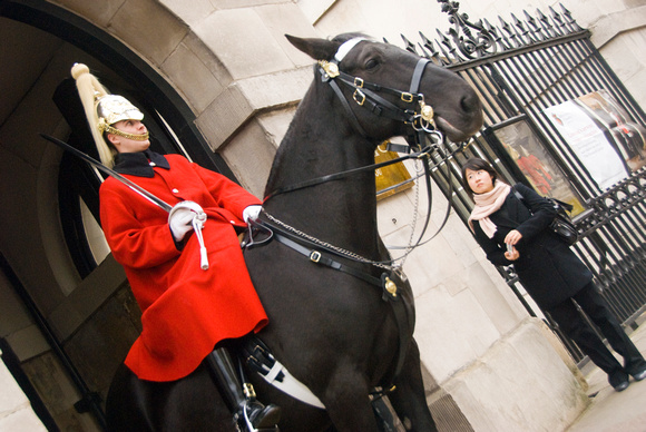 Horse Guards 003 N185