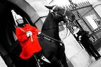 Horse Guards 003B N185
