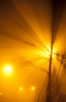 Fog 09 N16