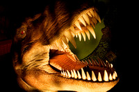 Dinosaurs 012 N47
