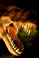 Dinosaurs 010 N47
