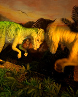 Dinosaurs 005 N47