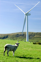 Hameldon Wind Farm 013 D169