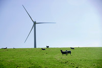 Hameldon Wind Farm 004 D169