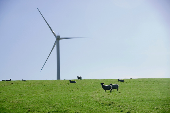 Hameldon Wind Farm 004 D169
