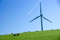 Hameldon Wind Farm 003 D169