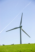 Hameldon Wind Farm 005 D169