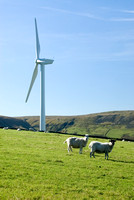 Hameldon Wind Farm 010 D169
