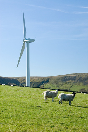 Hameldon Wind Farm 010 D169