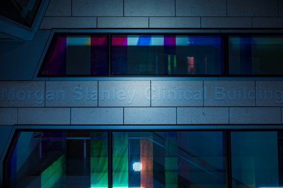 Morgan Stanley Clinical 004 N731