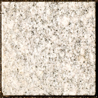 Granite 002 D199