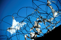 Barbed Wire D9