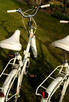 Bicycles 003 D67
