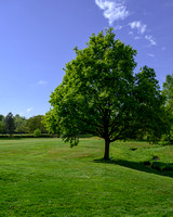 Worsley Golf Course 005 N787