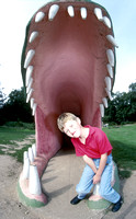 Dinosaur Park 1 N5