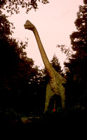 Dinosaur Park 2 N5