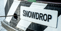 Snowdrop 007 N390