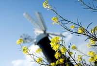 Sibsey Windmill 016 N93