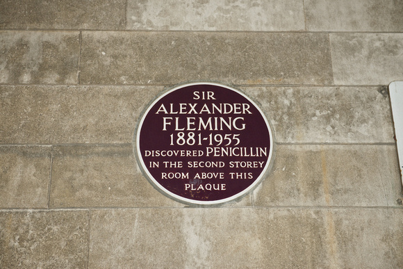 Alexander Fleming 002 N343