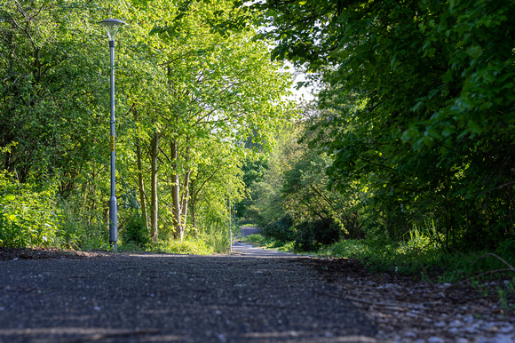 Colliery Line North 189 N921