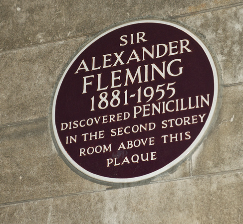 Alexander Fleming 001 N343