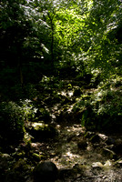 Bolton Abbey 008 N205