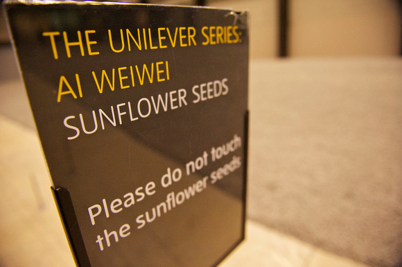 Sunflower Seeds 008 N238