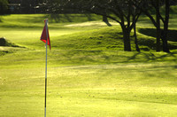 Swinton Pk Golf Course 2 D10