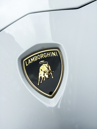 Lamborghini 004 N394
