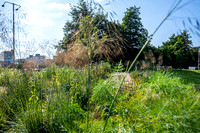 Blundell Street 008 N995