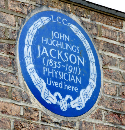 John Jackson 004 N344