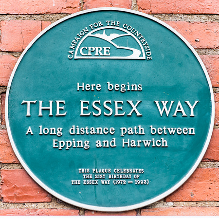 Essex Way 002 N371