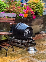 Hare & Hounds 008 N1171