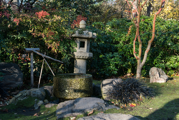 Kyoto Garden 003 N473