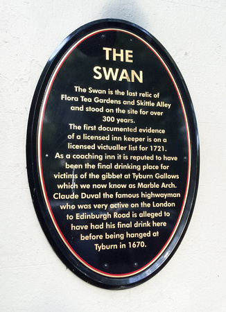 The Swan 001 N477