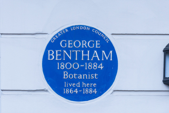 George Bentham 003 N487