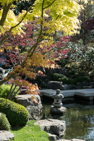 Kyoto Garden 084 N498