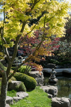 Kyoto Garden 086 N498
