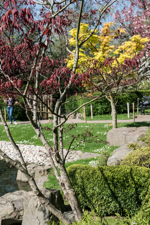 Kyoto Garden 093 N498