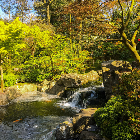 Kyoto Garden 098 N498