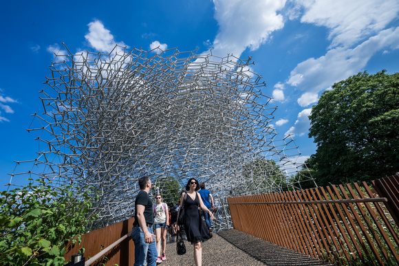 The Hive, Kew Gardens