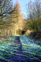 Colliery Line 005 N810