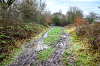 Colliery Line North 003 N813