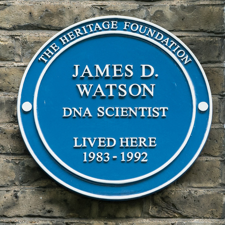 James Watson 003 N608