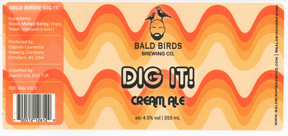 6593 Dig It Cream Ale