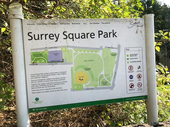 Surrey Square Park 004 N646
